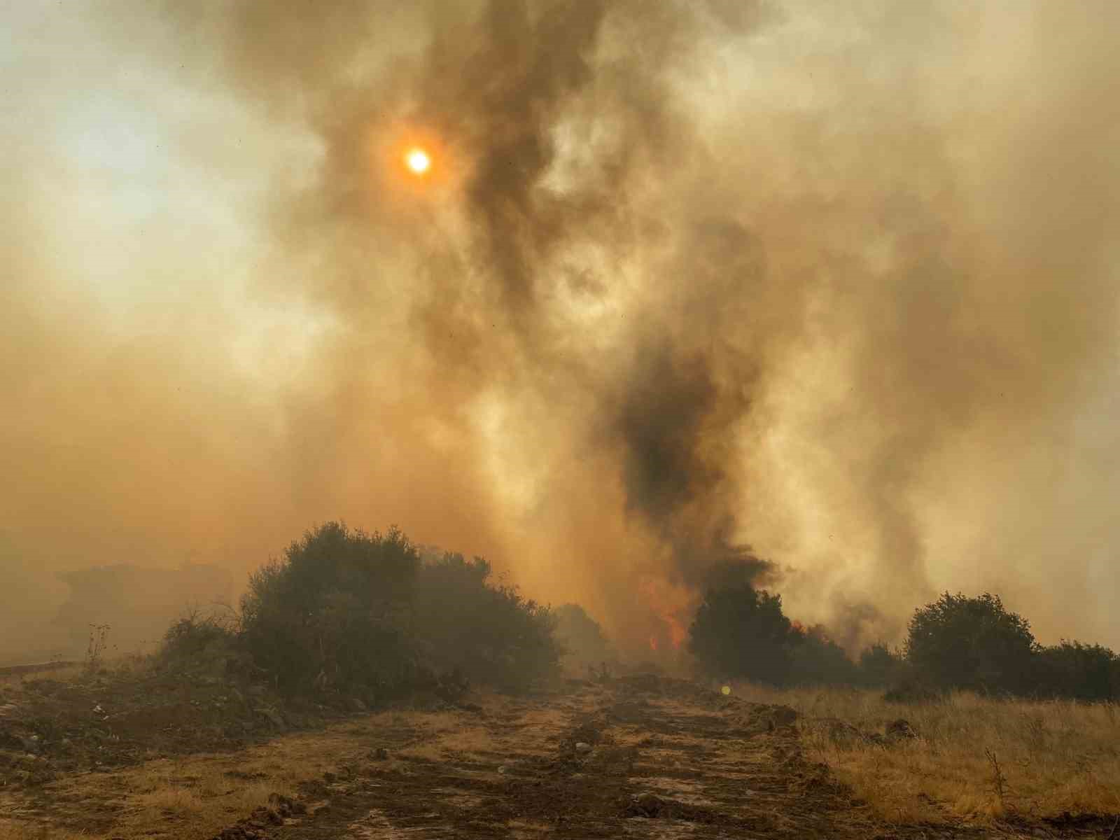 İzmir’deki orman yangını 8 saat sonra kontrol altına alındı
