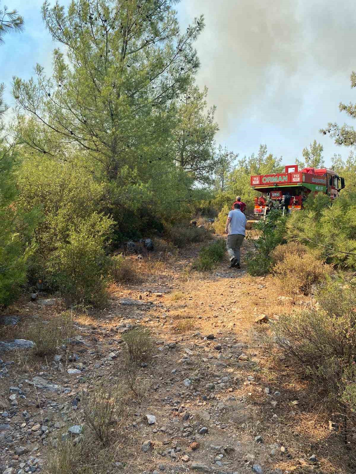 Milas’ta orman yangını
