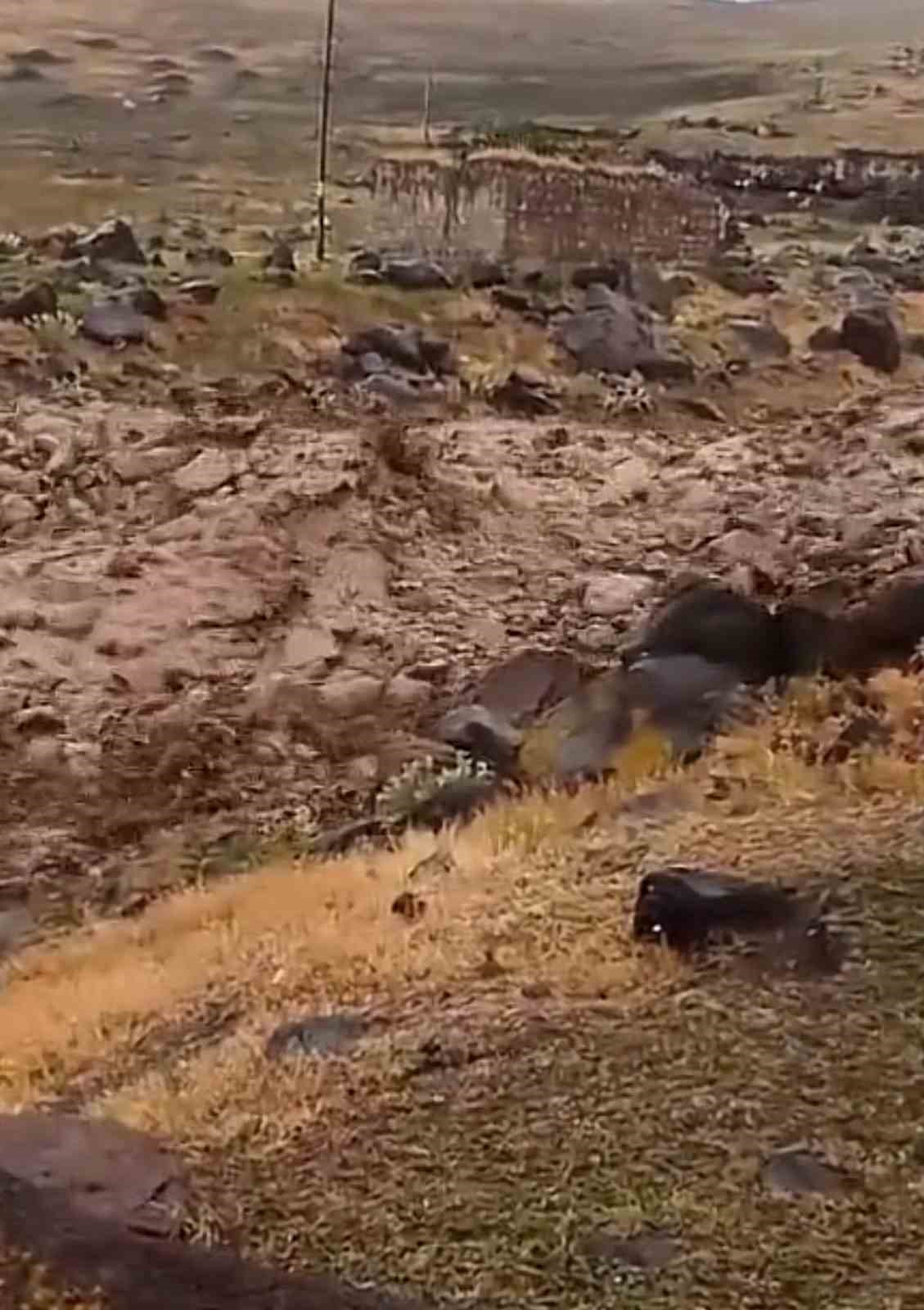 Iğdır’ın Harmandöven köyündeki sel felaketi
