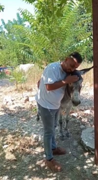 Vatandaşlardan şiddet gören ‘Kadife’ yeni yuvasında yaşayacak
