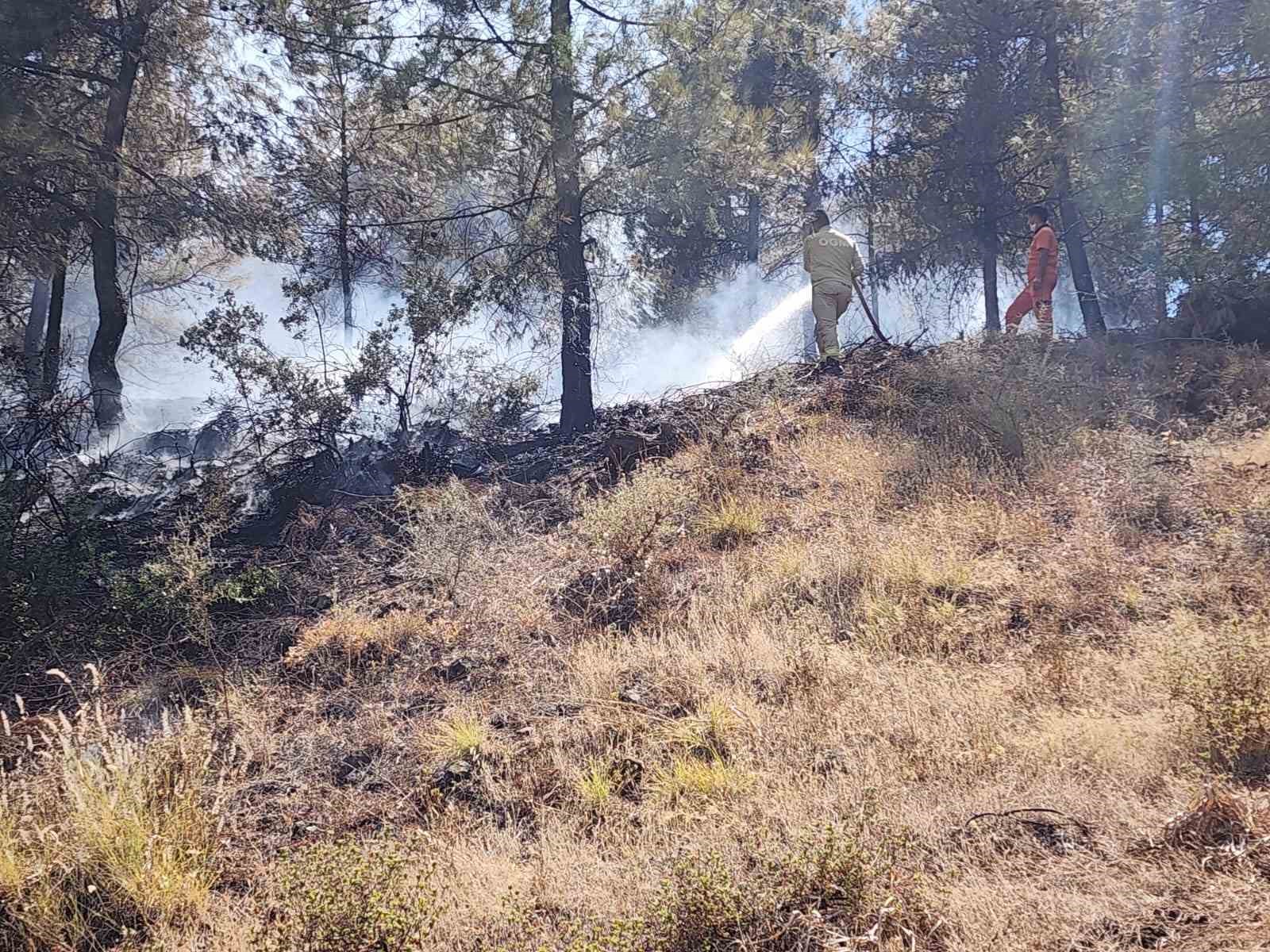 Sondaj aracında başlayan yangın ormana sıçradı
