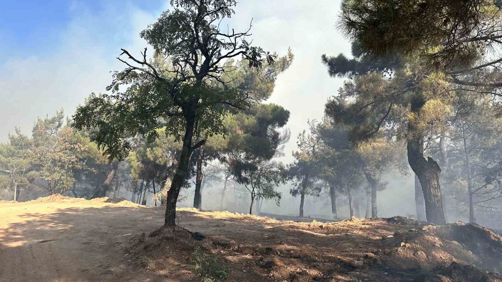 Gaziantep&rsquo;te orman yangını
