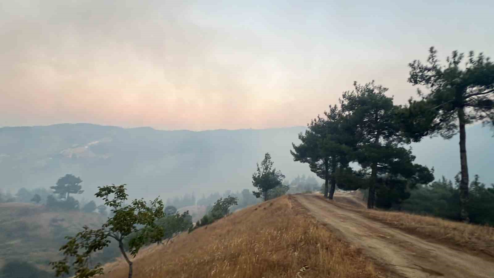 Kahramanmaraş&rsquo;taki orman yangınına m&uuml;dahale s&uuml;r&uuml;yor
