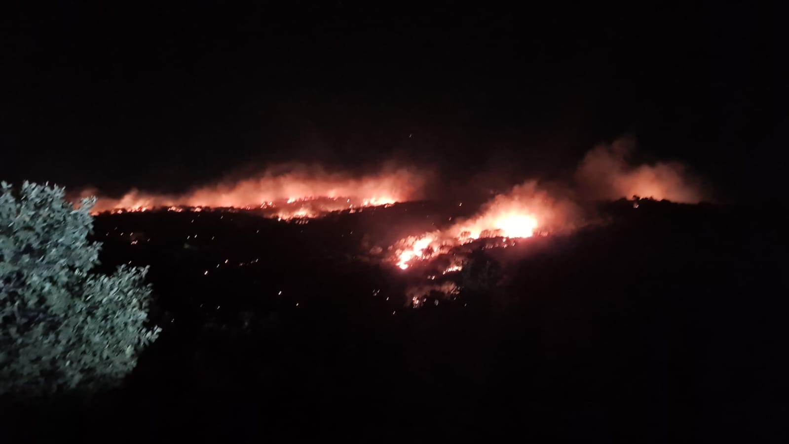 Mardin’de gece saatlerinde korkutan yangın kontrol altına alındı