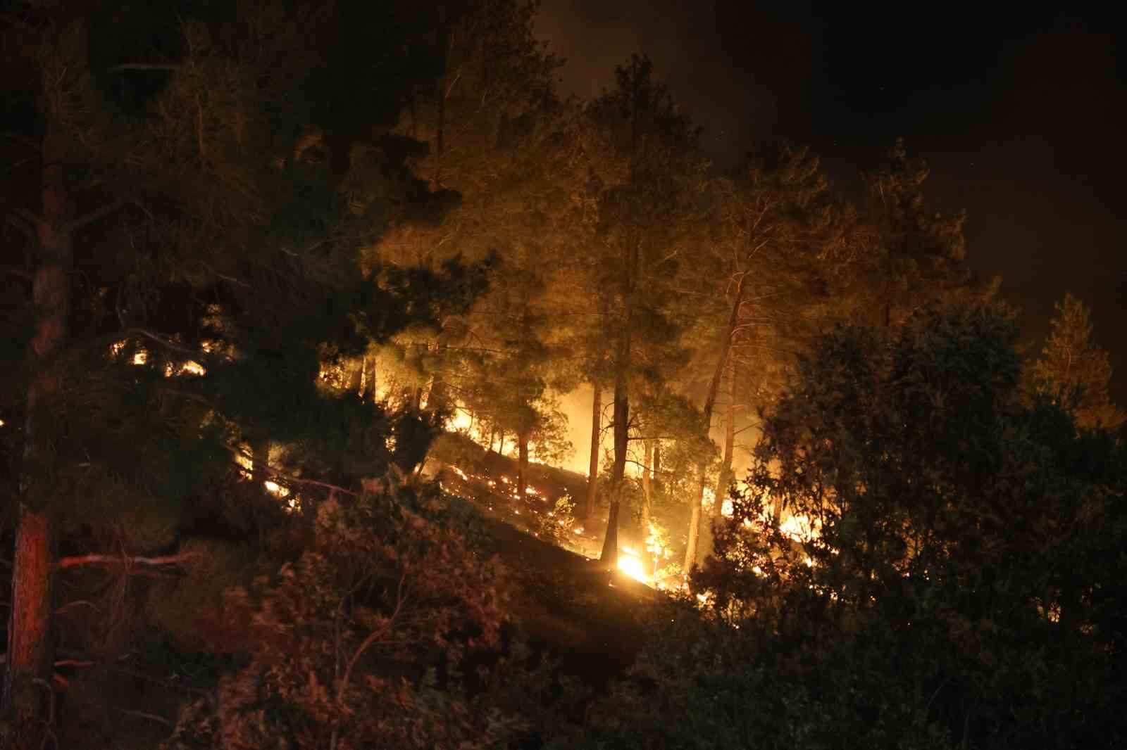 Kahramanmaraş’taki orman yangını kontrol altına alındı