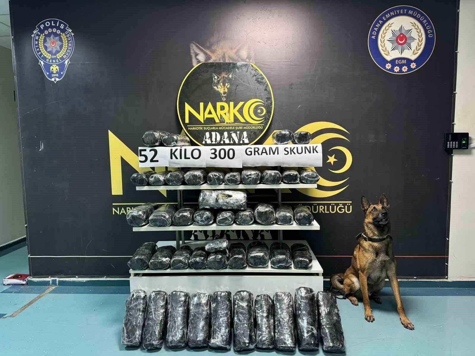 Dedekt&ouml;r k&ouml;peği &rsquo;Oscar&rsquo; 52 kilo 300 gram skunk buldu
