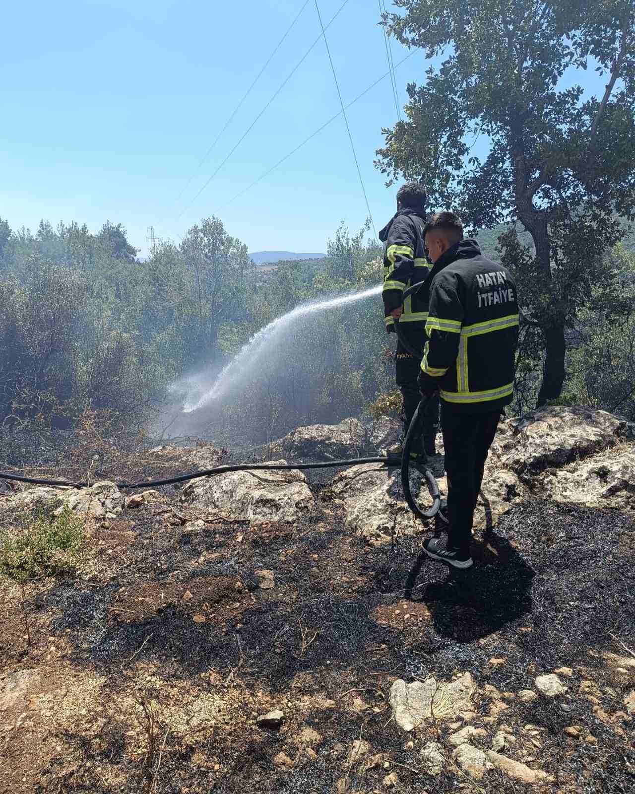 Yayladağı’nda orman yangını
