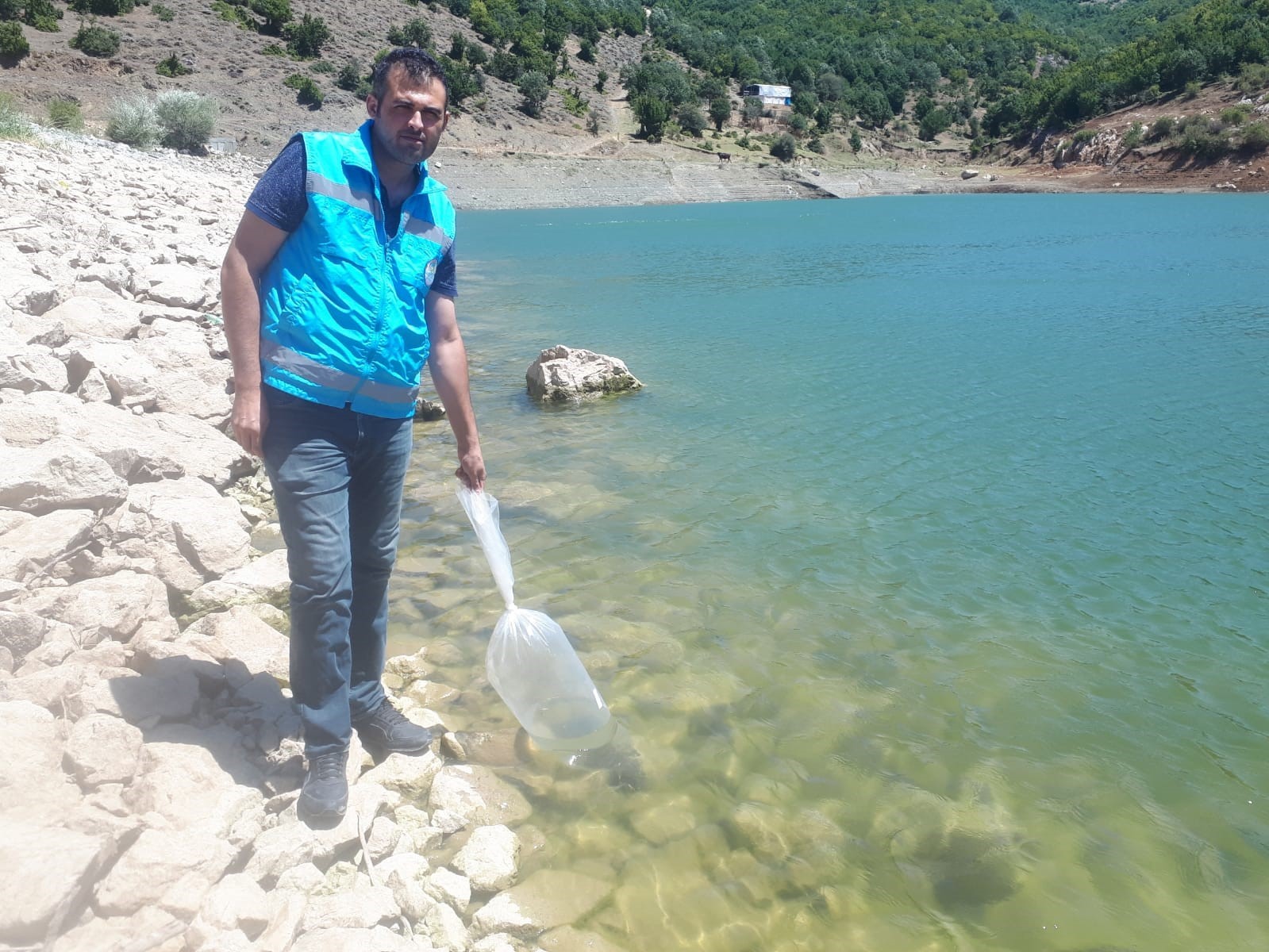 Tokat’ta göletler pullu sazanla canlanacak