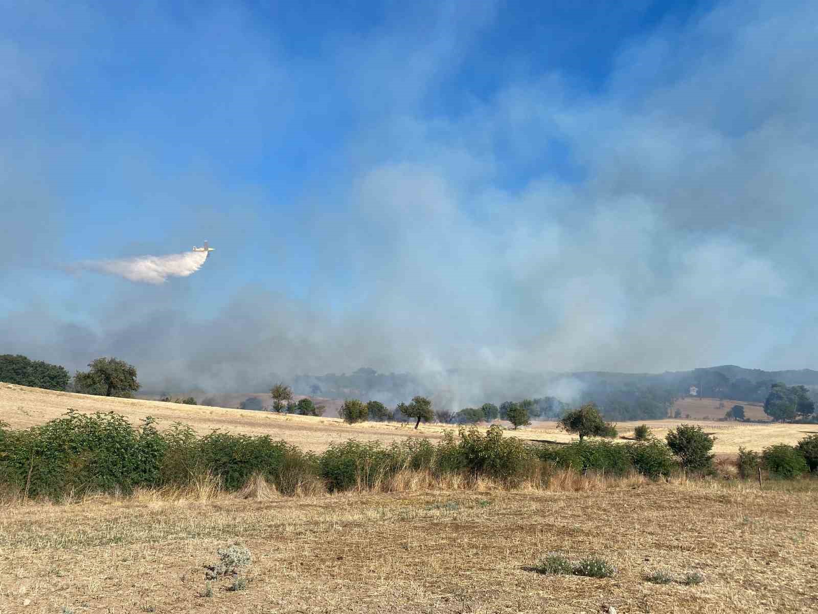 &Ccedil;anakkale&rsquo;de orman yangını: Havadan ve karadan m&uuml;dahale ediliyor 