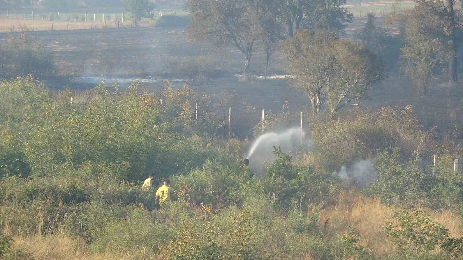 Ayvacık’taki orman yangınına müdahale devam ediyor