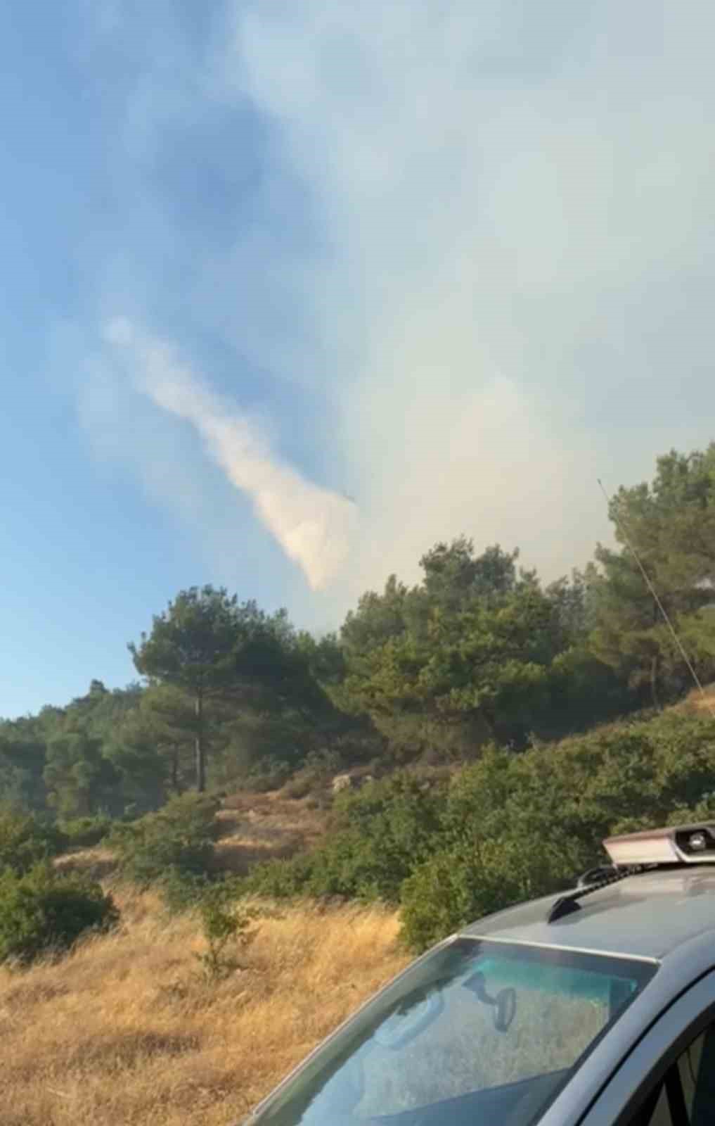 Kırkağaç’taki orman yangını kontrol altına alındı