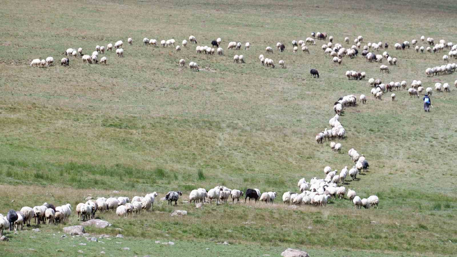 Erzurum’da 3 bin rakımda 3 yüz çadır kurulu
