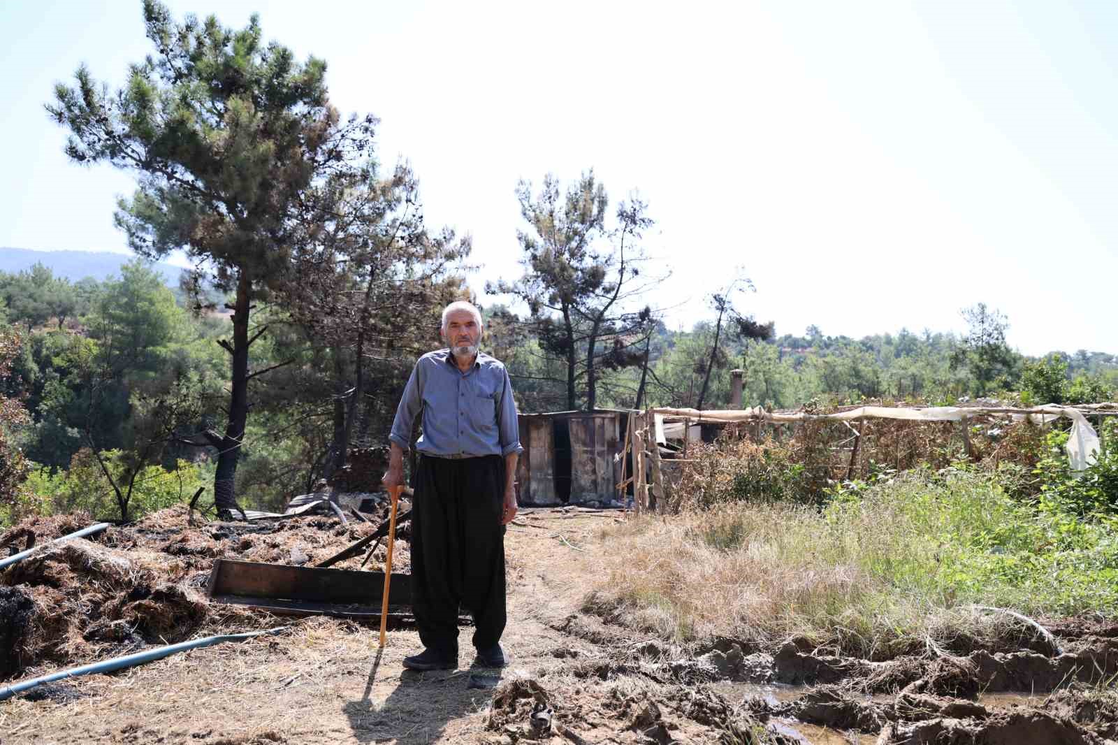 Orman yangınında evi yanan yaşlı adam: "80 yıllık evim başımıza yıkıldı"