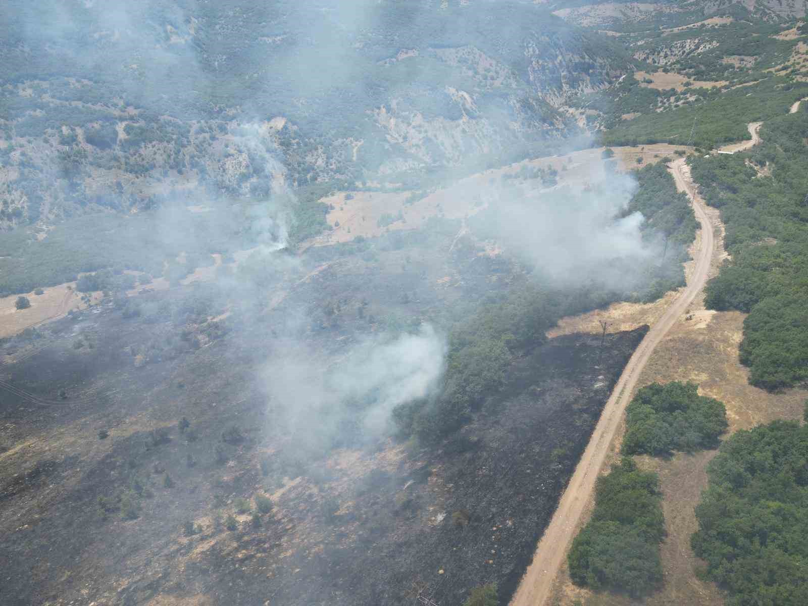 Bingöl’deki orman yangınları söndürüldü
