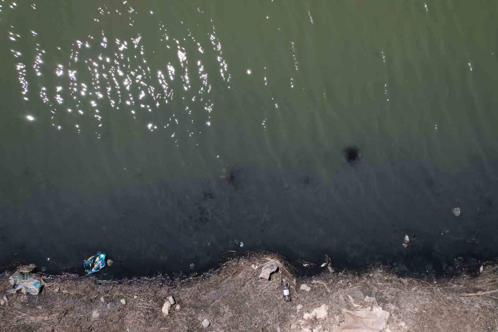 Kızılca G&ouml;leti&rsquo;nde ekolojik felaket: G&ouml;letteki neredeyse t&uuml;m balıklar can verdi 