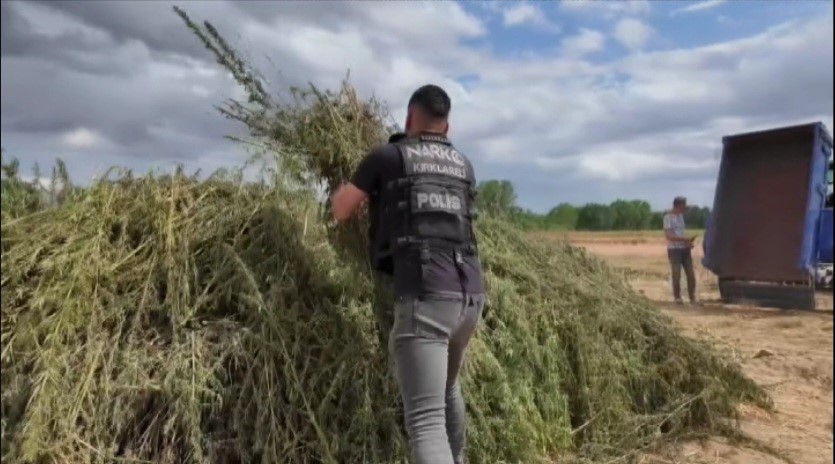 Babaeski’de 2 milyon kök kenevir imha edildi