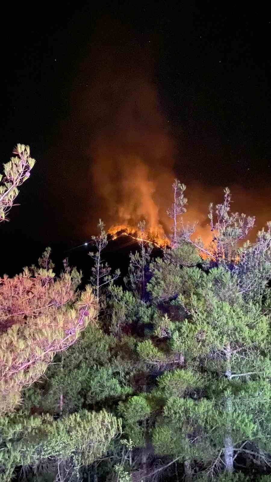 Kahramanmaraş’taki orman yangını 18 saat sonra kontrol altına alındı