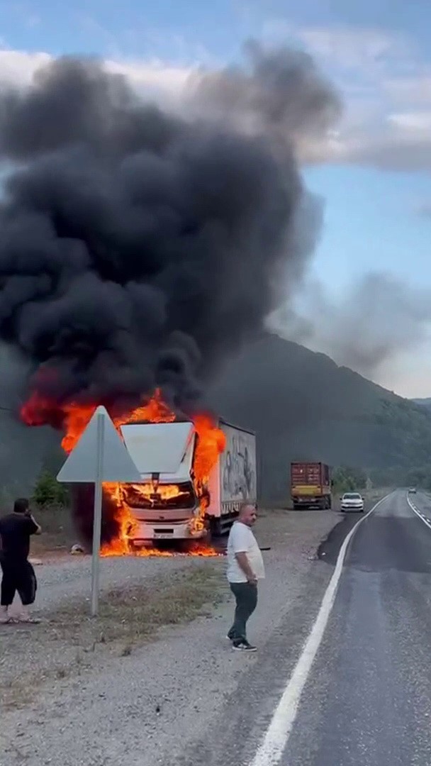 Seyir halindeki tır alev alev yandı
