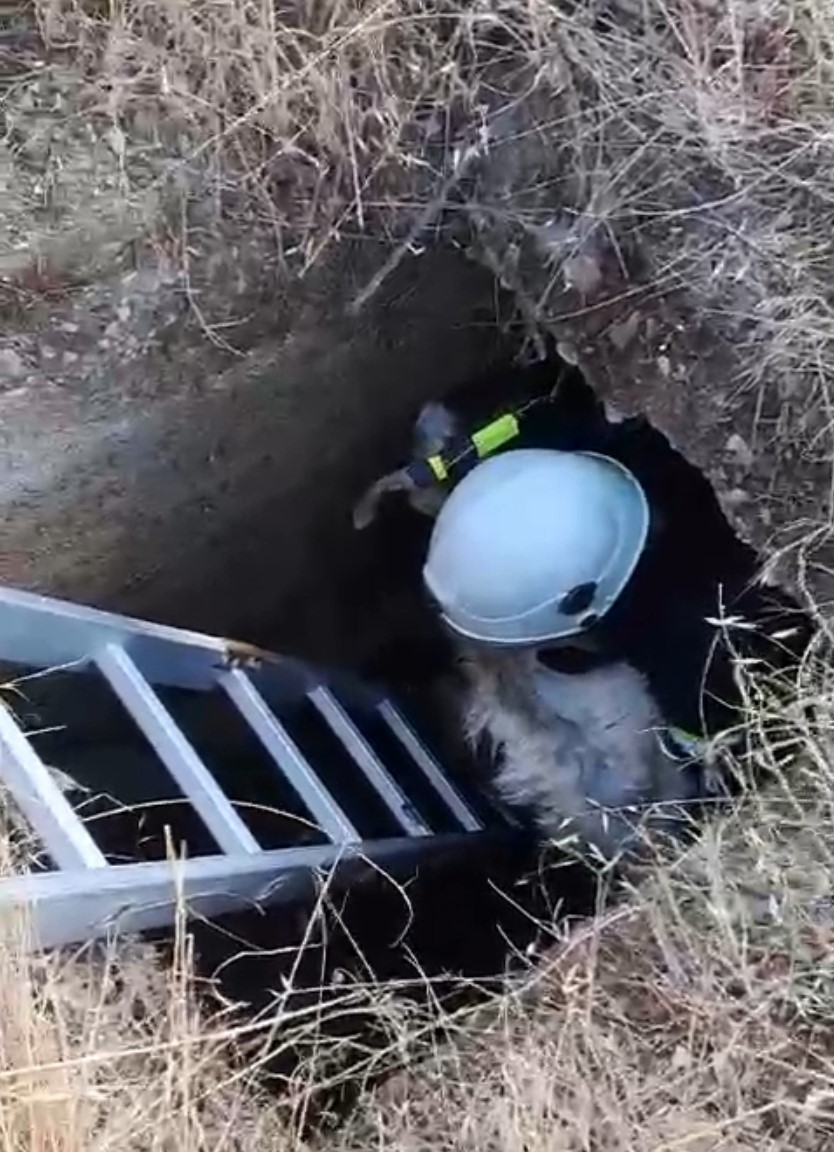 Babaeski&rsquo;de kuyuya d&uuml;şen kuzu kurtarıldı
