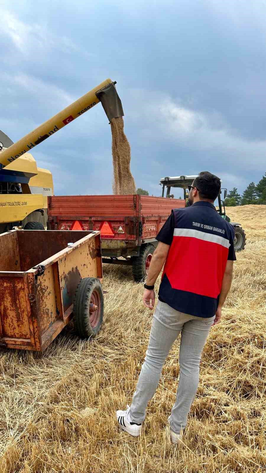 Gediz ve Emet il&ccedil;elerinde hasat d&ouml;nemi denetimleri

