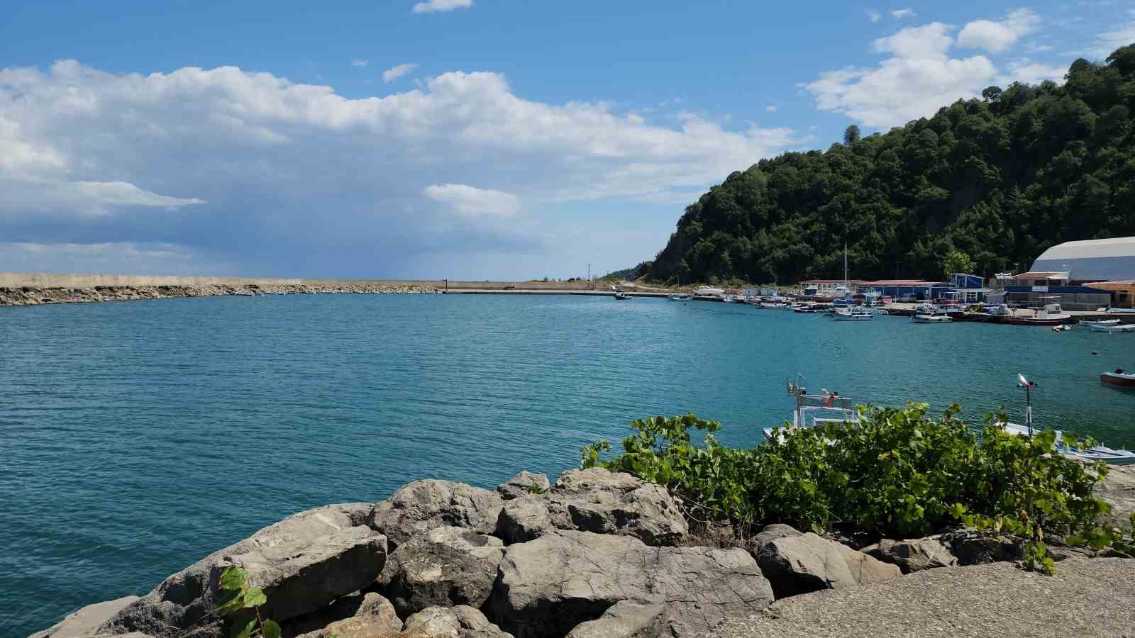 Milyonluk yatırım yapılan limanda balık&ccedil;ı tekneleri karaya oturma tehlikesi yaşıyor
