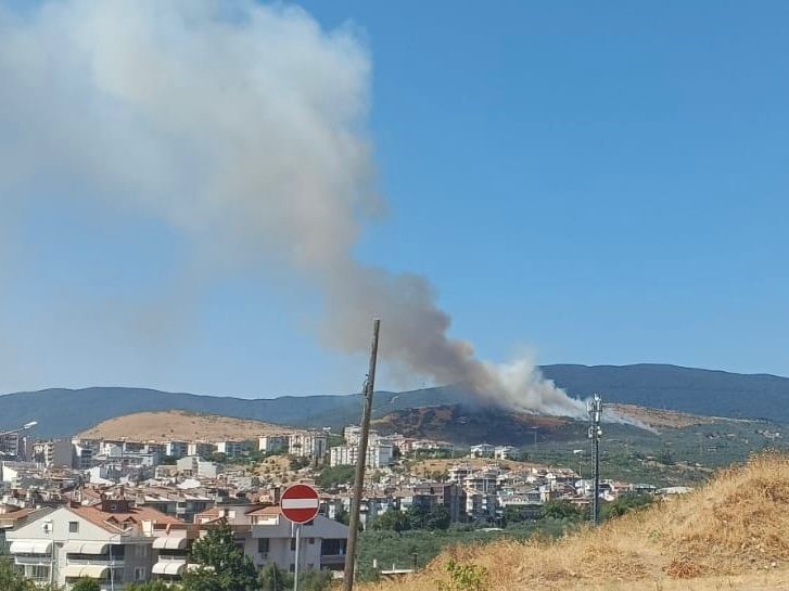 Balıkesir’de orman yangını
