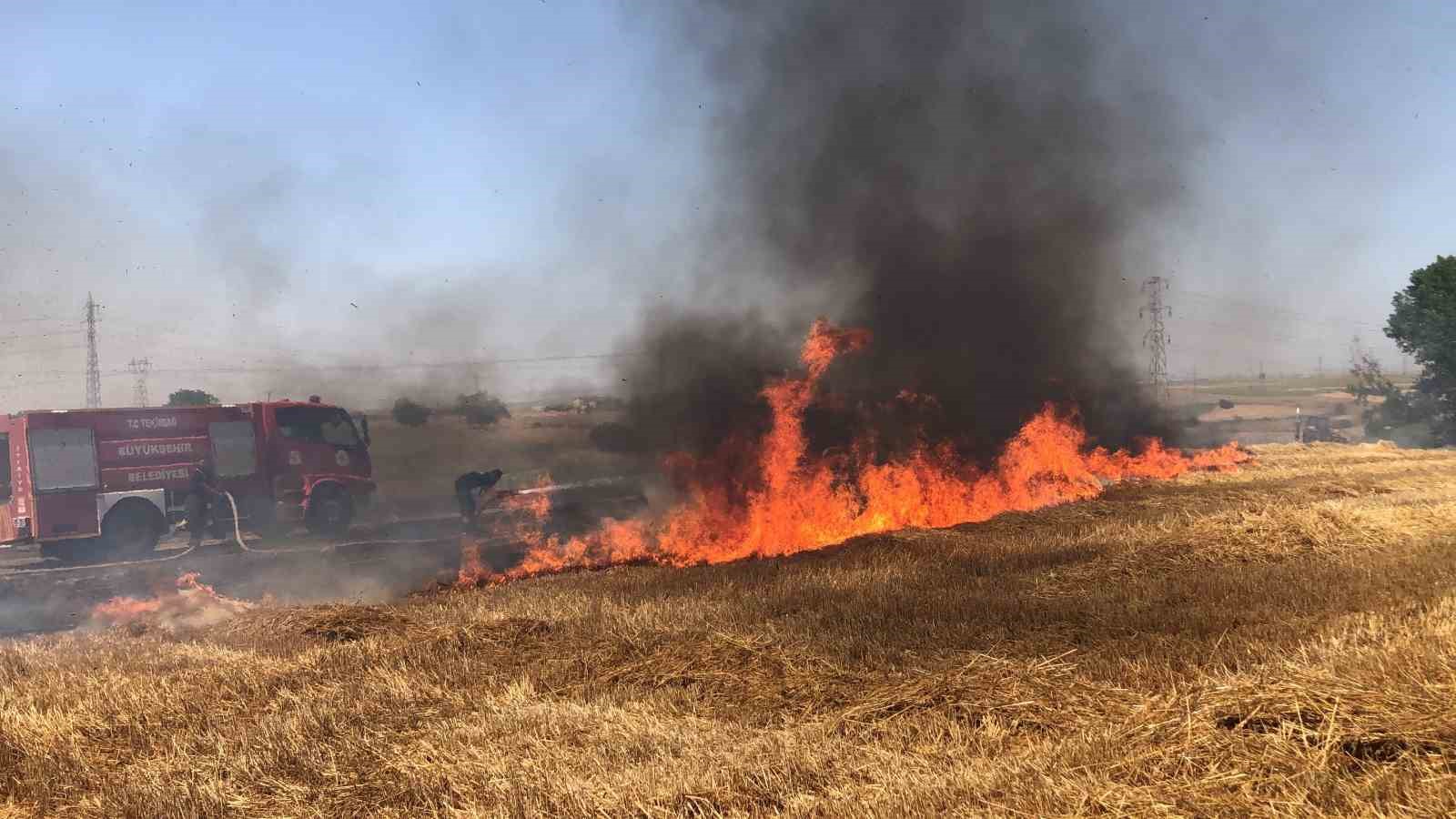 Tekirdağ&rsquo;da yangınlarda 19 bin 676 dekar tarım arazisi zarar g&ouml;rd&uuml;
