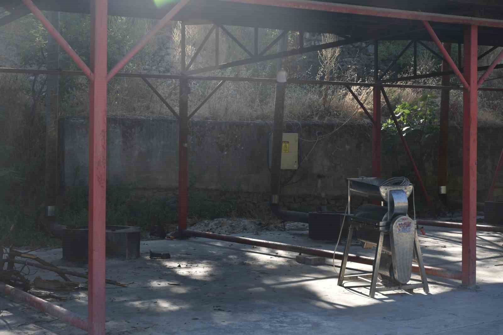 Salça zamanının yaklaşmasıyla Söğüt Belediyesi hazırlıklarını yaptı