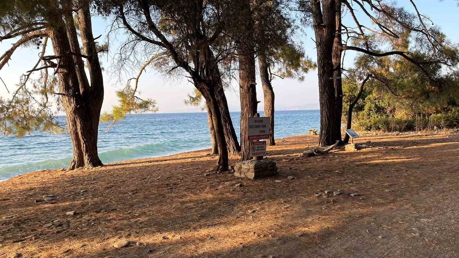 Dilek Yarımadası B&uuml;y&uuml;k Menderes Deltası Milli Parkı darphane gibi
