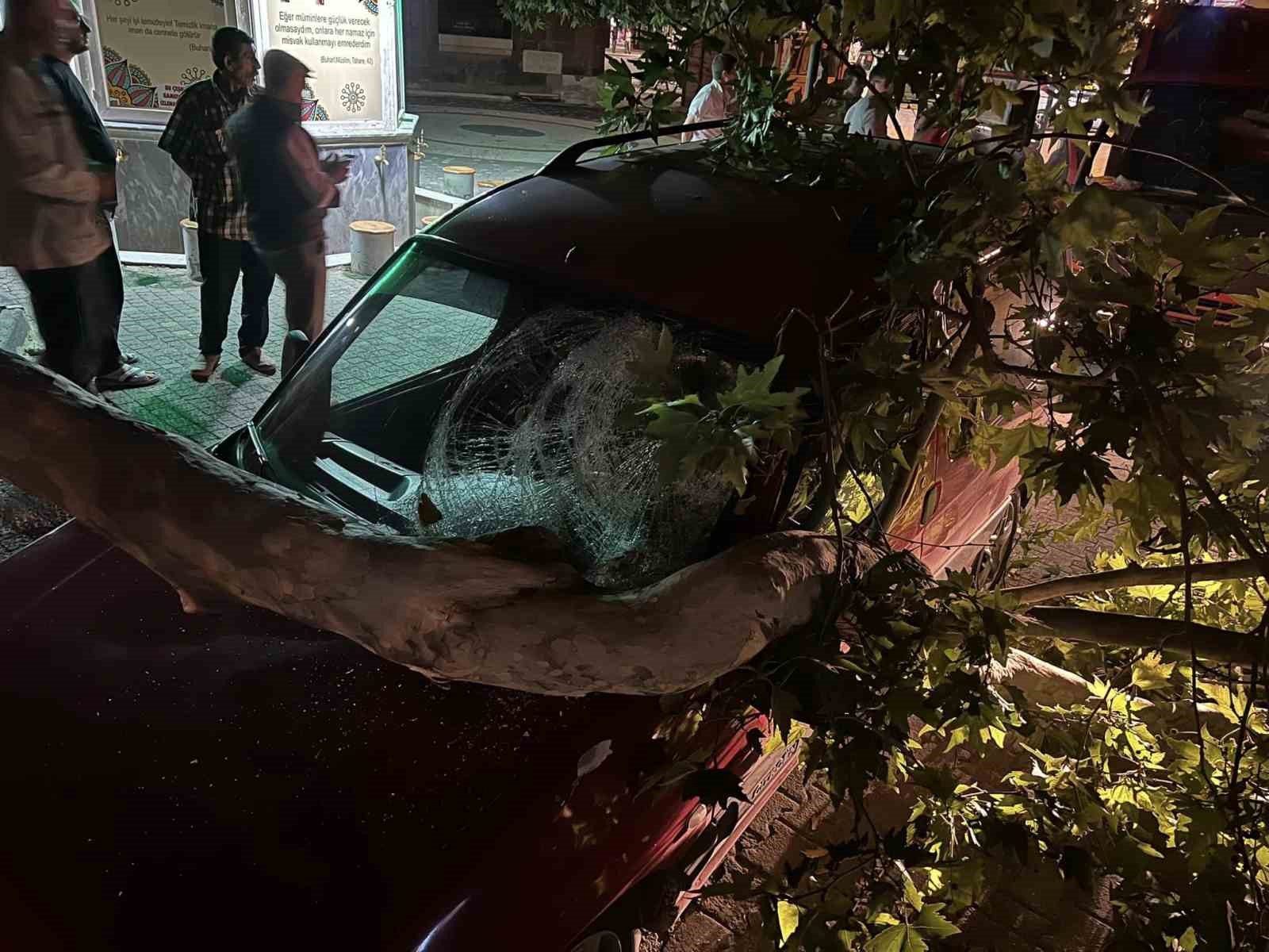 Park halindeki aracın üzerine ağacın kırılan dalı düştü