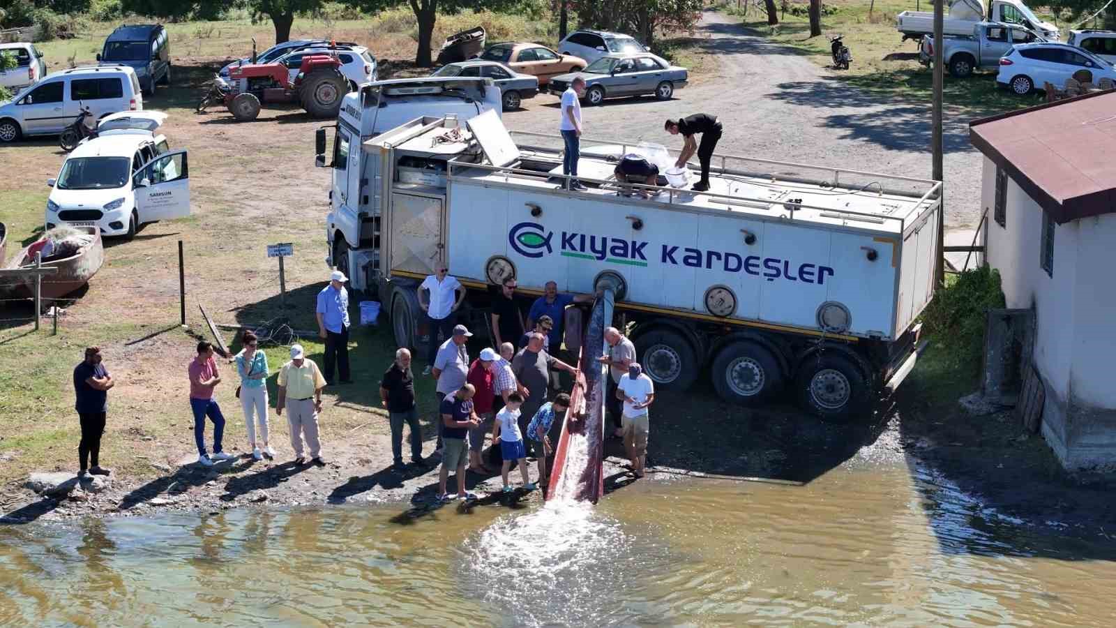 Samsun’da su kaynaklarına 3 milyon 5 bin sazan yavrusu bırakıldı
