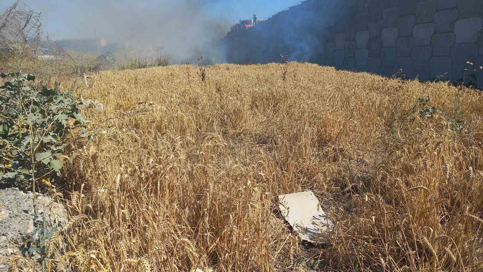 Edirne&rsquo;de kaynak makinesinden &ccedil;ıkan kıvılcım 2 dekar buğdayı yaktı
