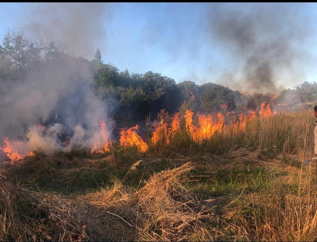 Malatya&rsquo;da 4 ayrı noktada anız ve orman yangını
