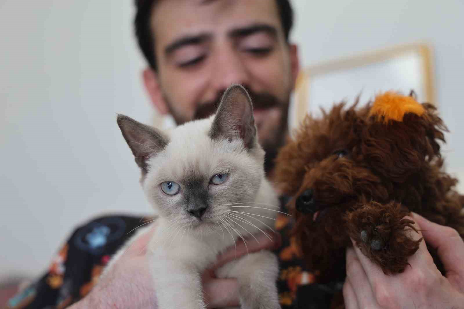 Tüy ve tırnak bakımında bölgenin en şirin merkezi: Bu kuaförde sadece köpekler tıraş oluyor
