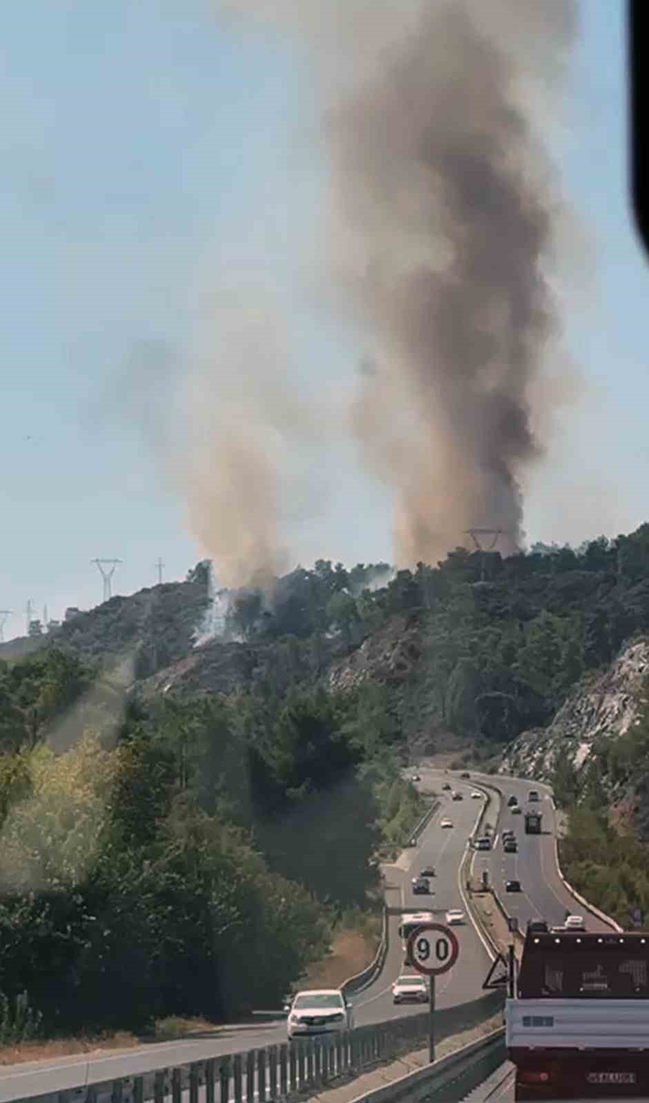 Köyceğiz-Ortaca karayolunda orman yangını
