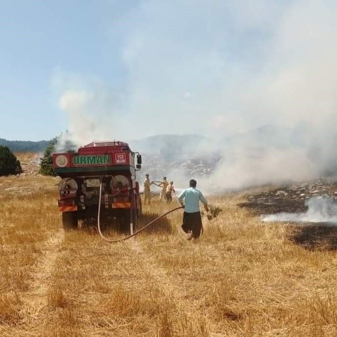 Anız yangını ormana sı&ccedil;radı, ekipler m&uuml;dahale ediyor
