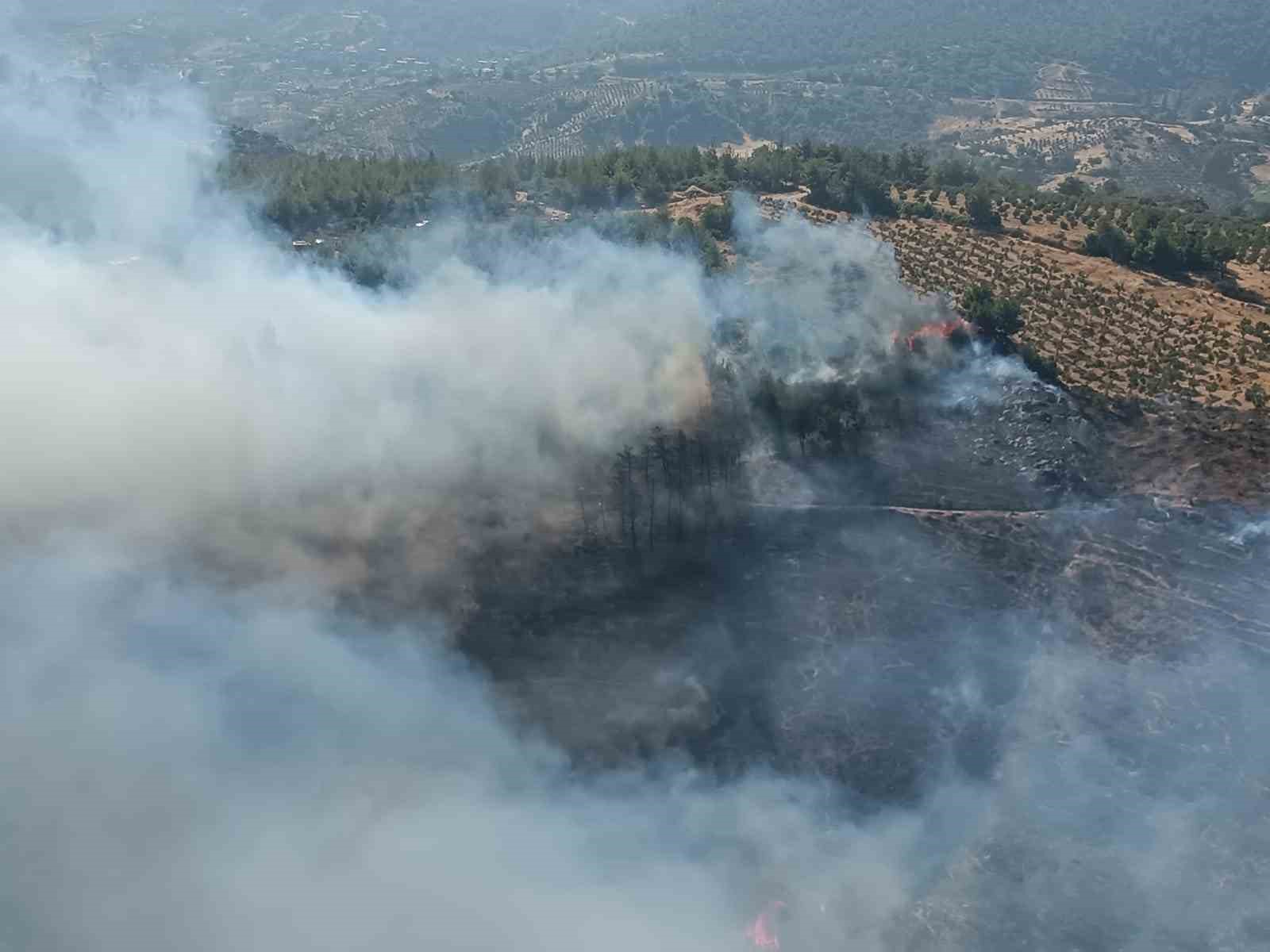 Hatay’da orman yangını
