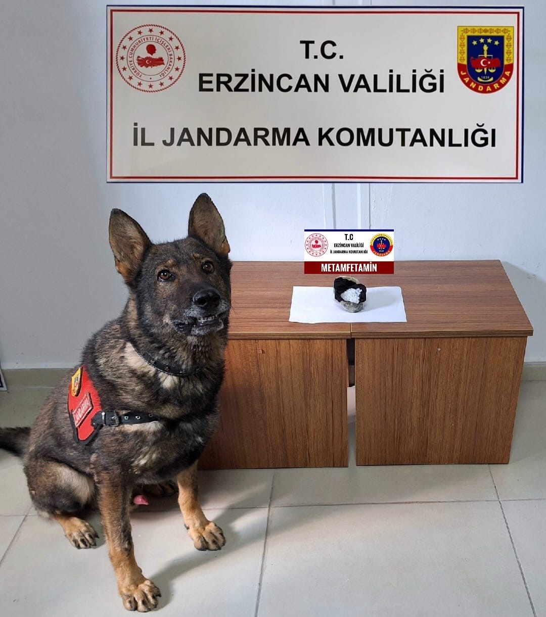 Erzincan&rsquo;da jandarma mıntıkasında Temmuz ayında meydana gelen olayların y&uuml;zde 98&rsquo;i aydınlatıldı
