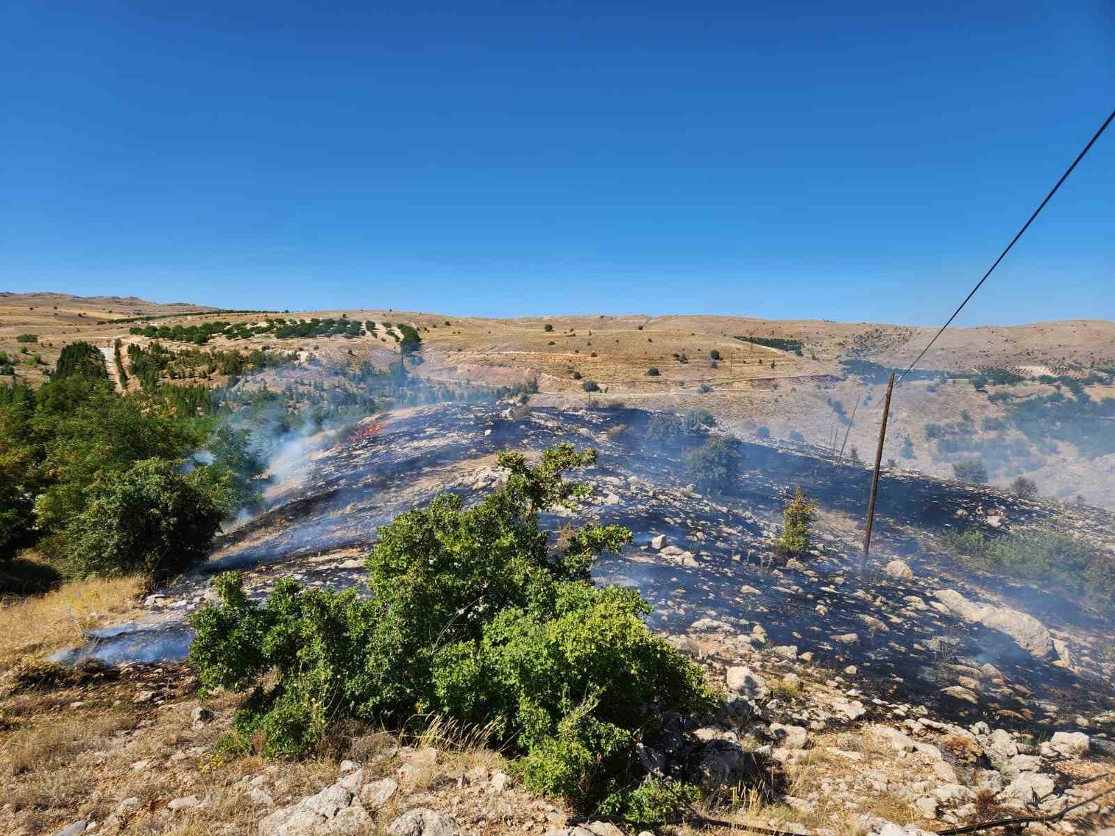 Malatya&rsquo;da 3 ayrı noktada ot yangını

