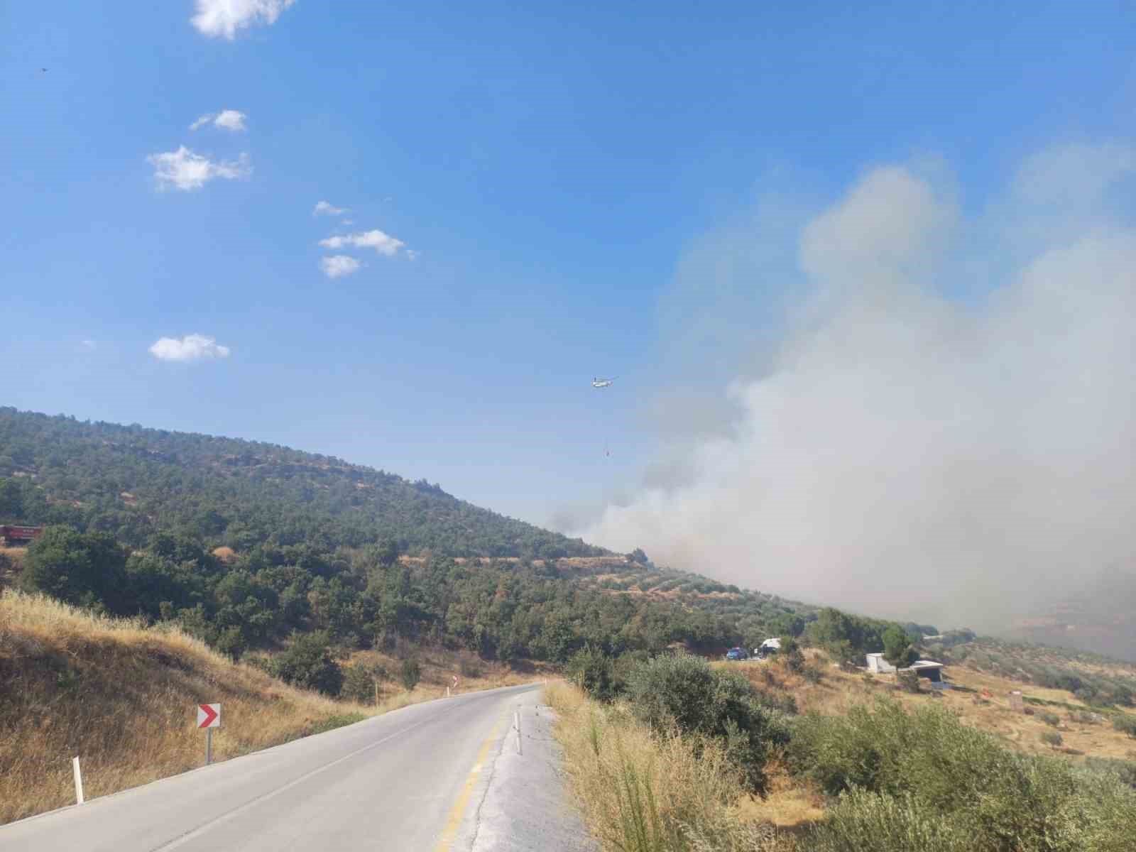 Manisa’da orman yangını
