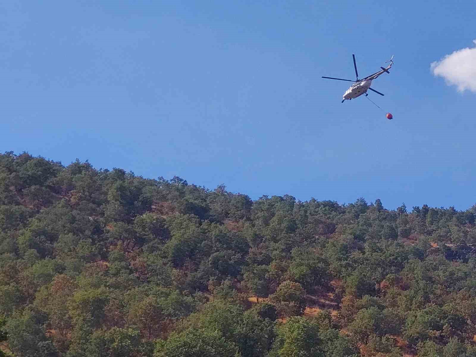 Manisa&rsquo;da 50 hektar alan k&uuml;l oldu 