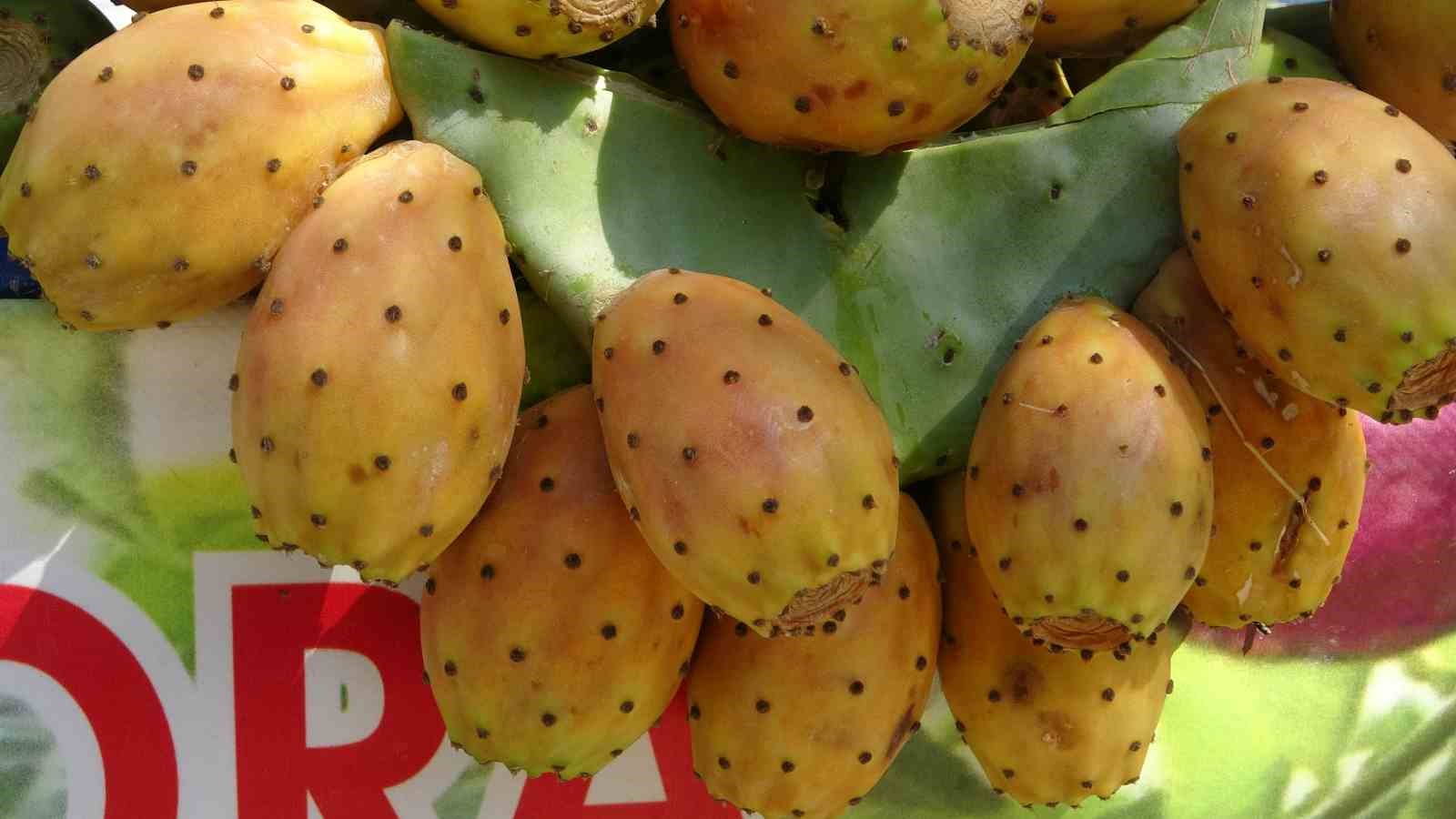 Dikenli incir tezgahlarda yerini aldı: Tanesi 10 lira