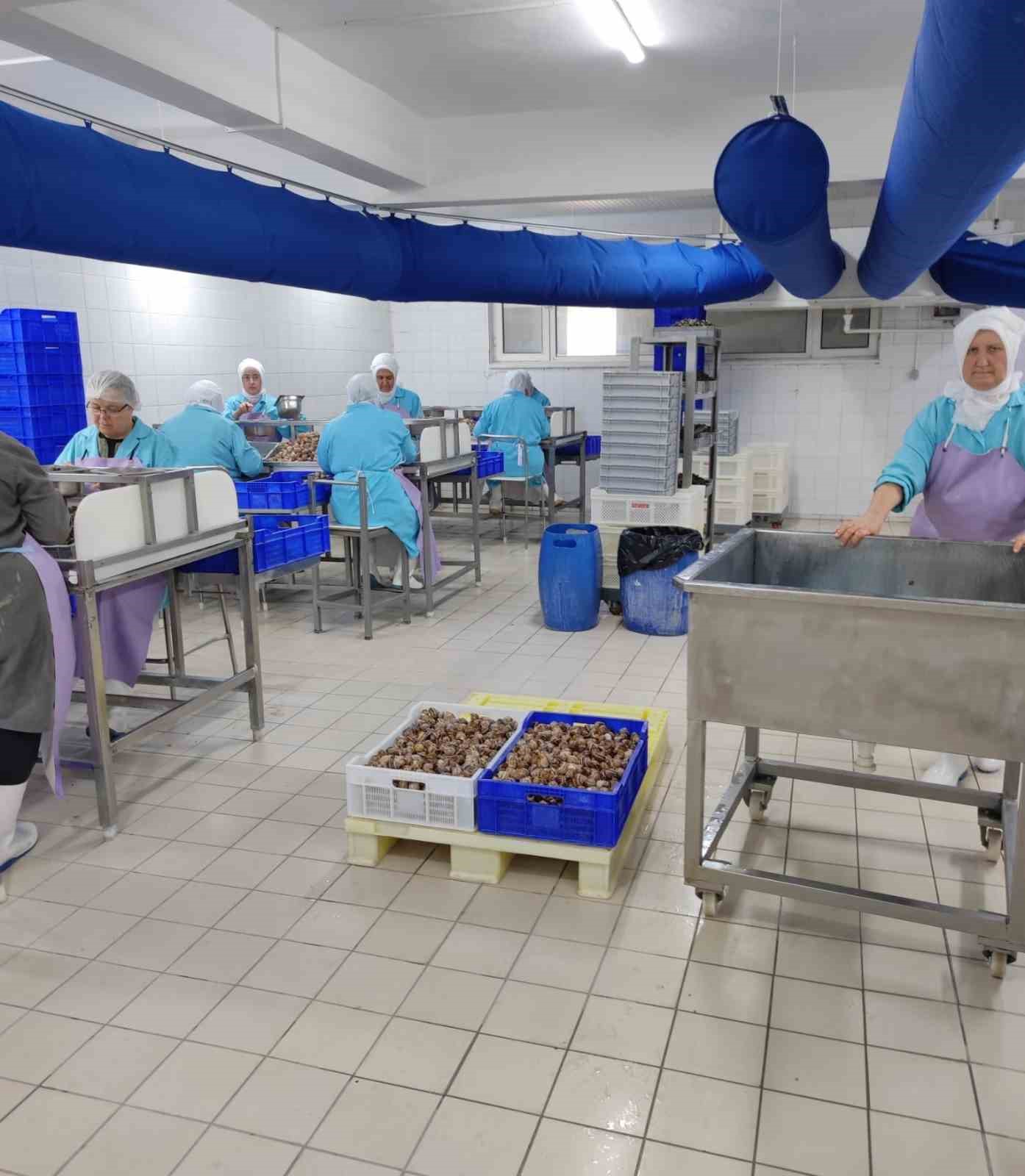 Bilecik’ten Fransa’ya ihracat yapan tesis denetlendi