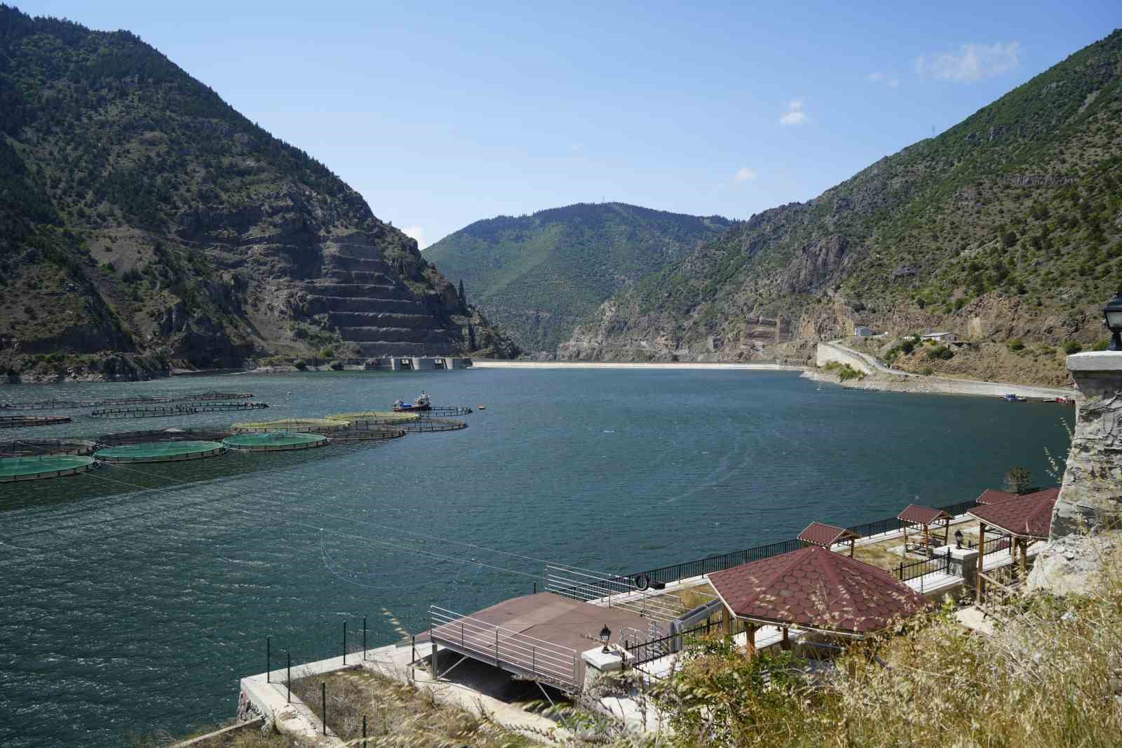 Alabalık çiftliğinin ‘daimi müşterisi’ ayı kameralara yakalandı
