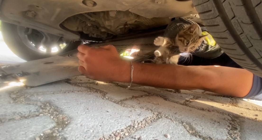 Otomobilin motoruna giren yavru kedi kurtarıldı