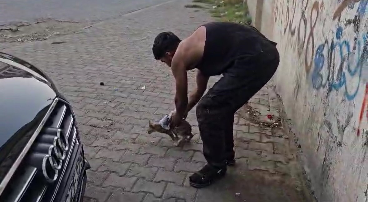 Aracın altına sıkışan kedi sanayide çıkarıldı
