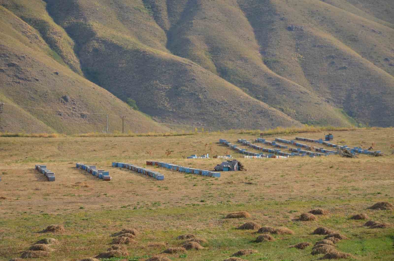 Doğal bal üreticileri tedirgin
