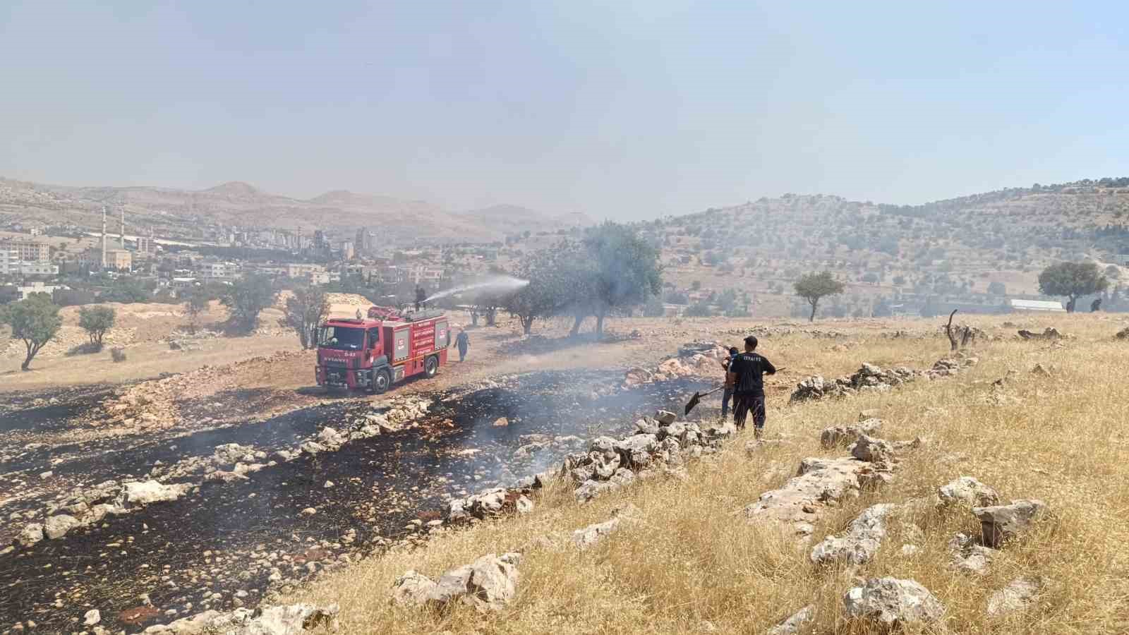 Mardin’de ormanlık alanda çıkan yangın söndürüldü