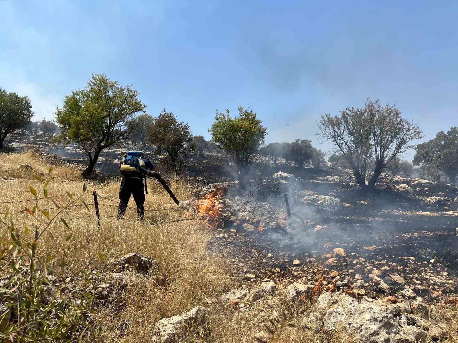 Mardin’de ormanlık alanda çıkan yangın söndürüldü
