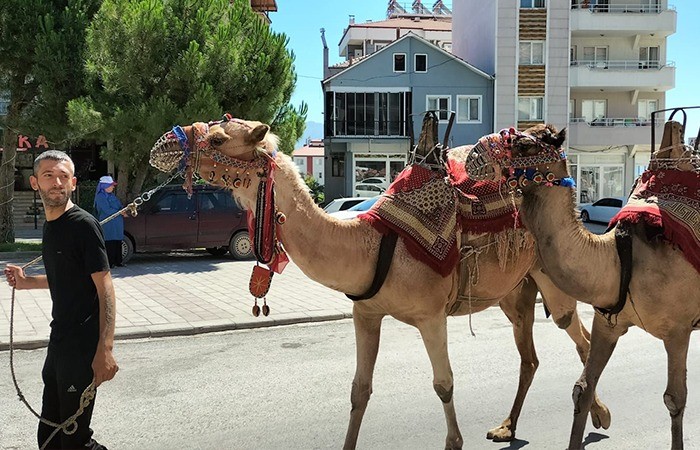 Acıpayam Y&ouml;r&uuml;k Fest 2024 i&ccedil;in geri sayım başladı
